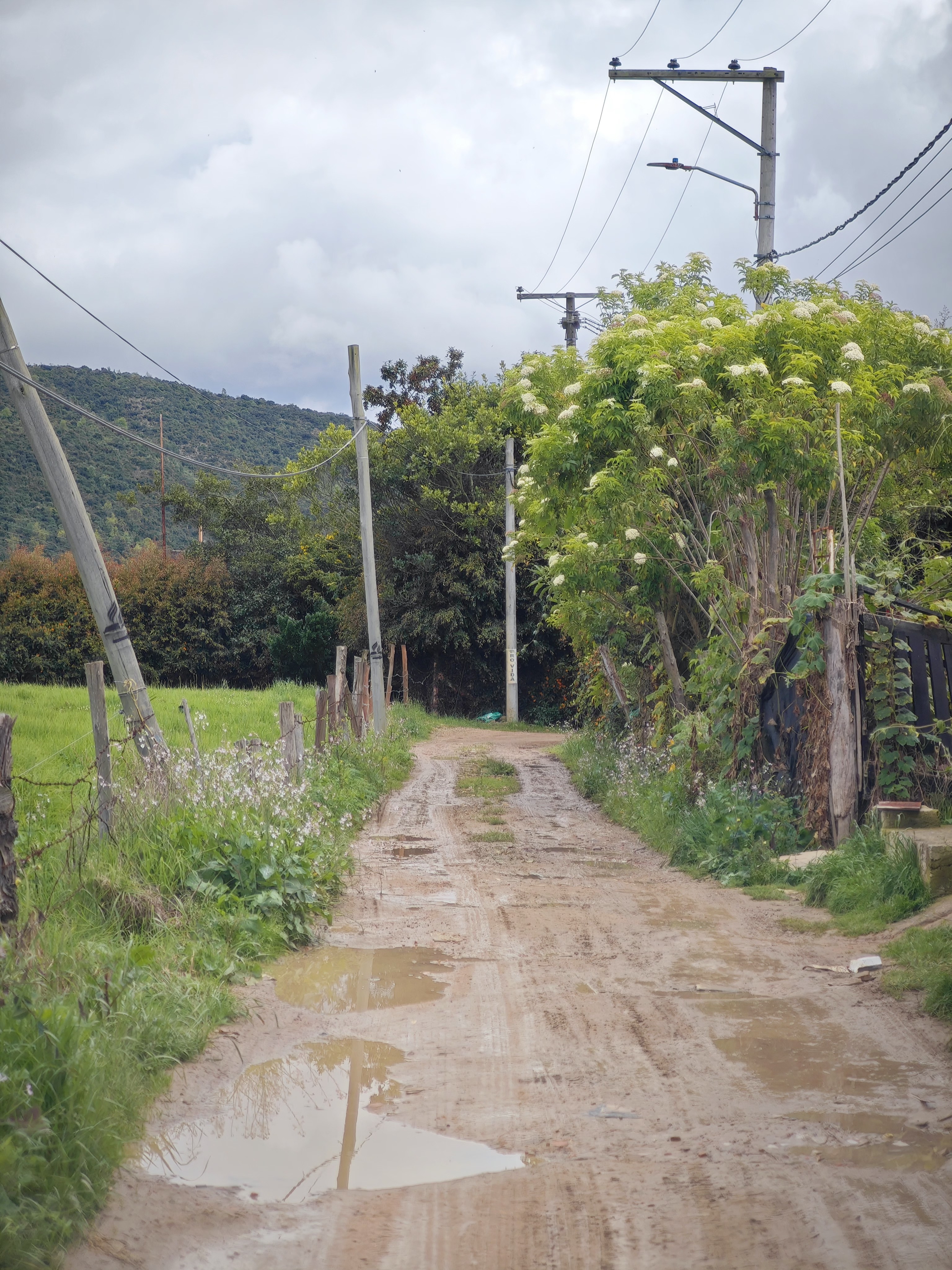Camino destapado / trocha